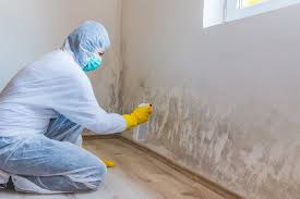 Trusted Dumas, TX Mold Inspection Experts