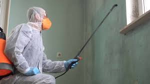 Why You Should Choose Our Mold Remediation Services in Dumas, TX