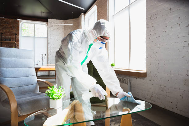 Mold Odor Removal Services in Dumas, TX