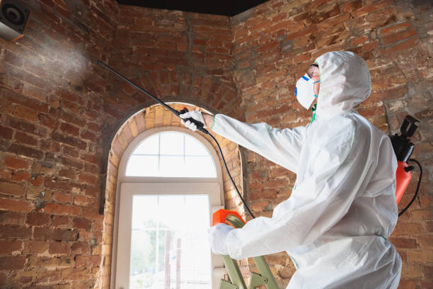 Best Asbestos and Lead Testing During Mold Inspection  in Dumas, TX